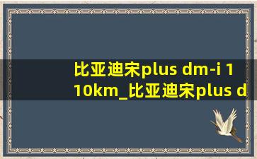 比亚迪宋plus dm-i 110km_比亚迪宋plus dm-i 110km旗舰plus